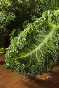 Recipes for Kale Snacks and Appetizers Image